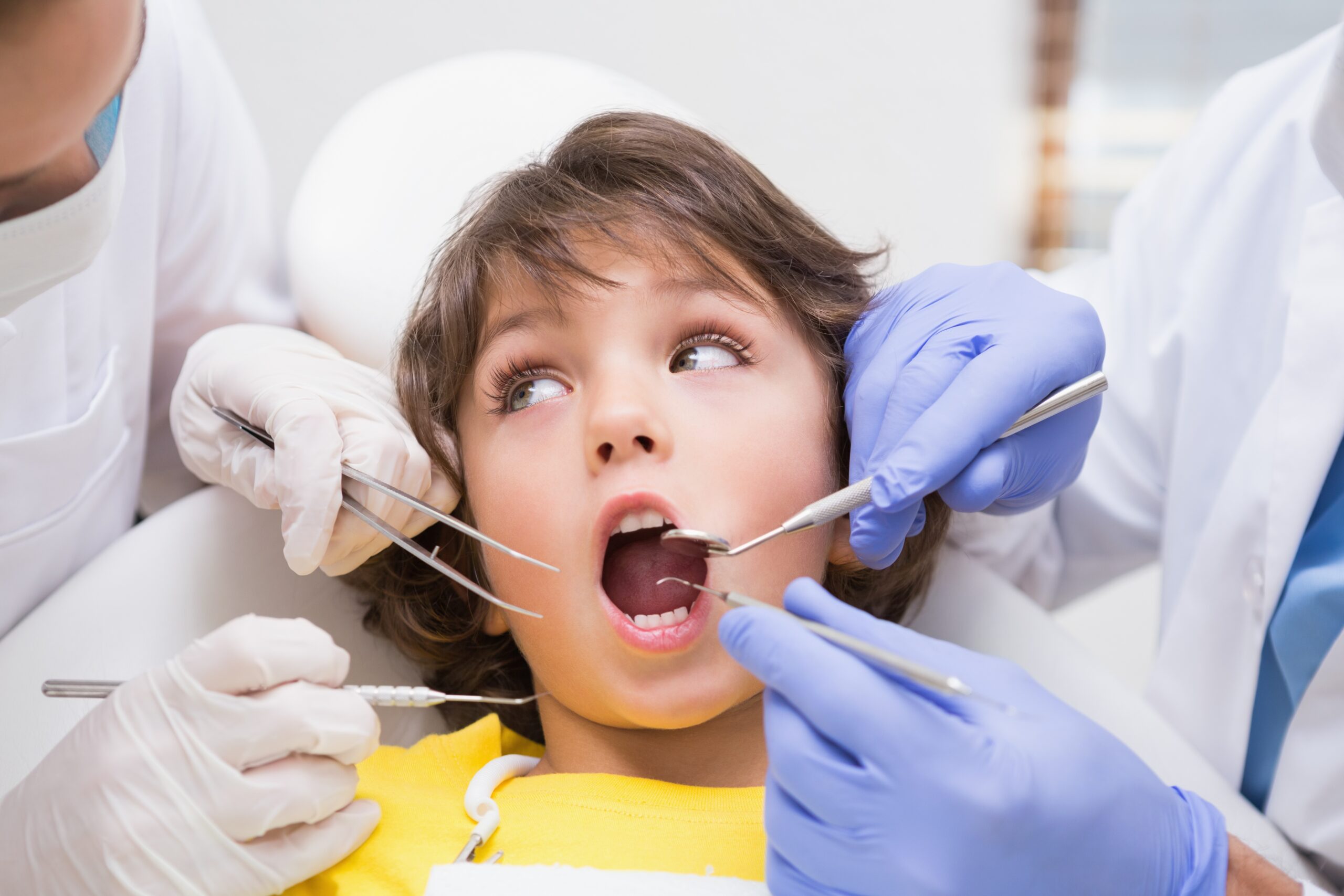 shirley childrens dentist