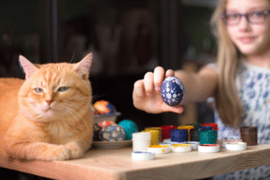 orthodontic shirley ny