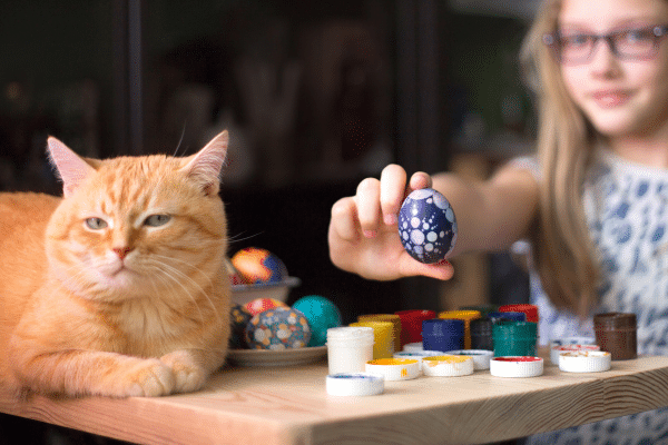 orthodontic shirley ny