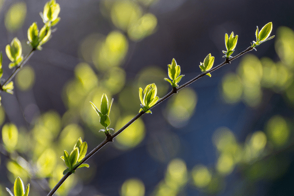 Helping Children Grow Into their Smiles shirley ny
