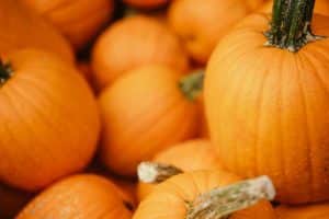 Trick-Or-Treat Safely This Year