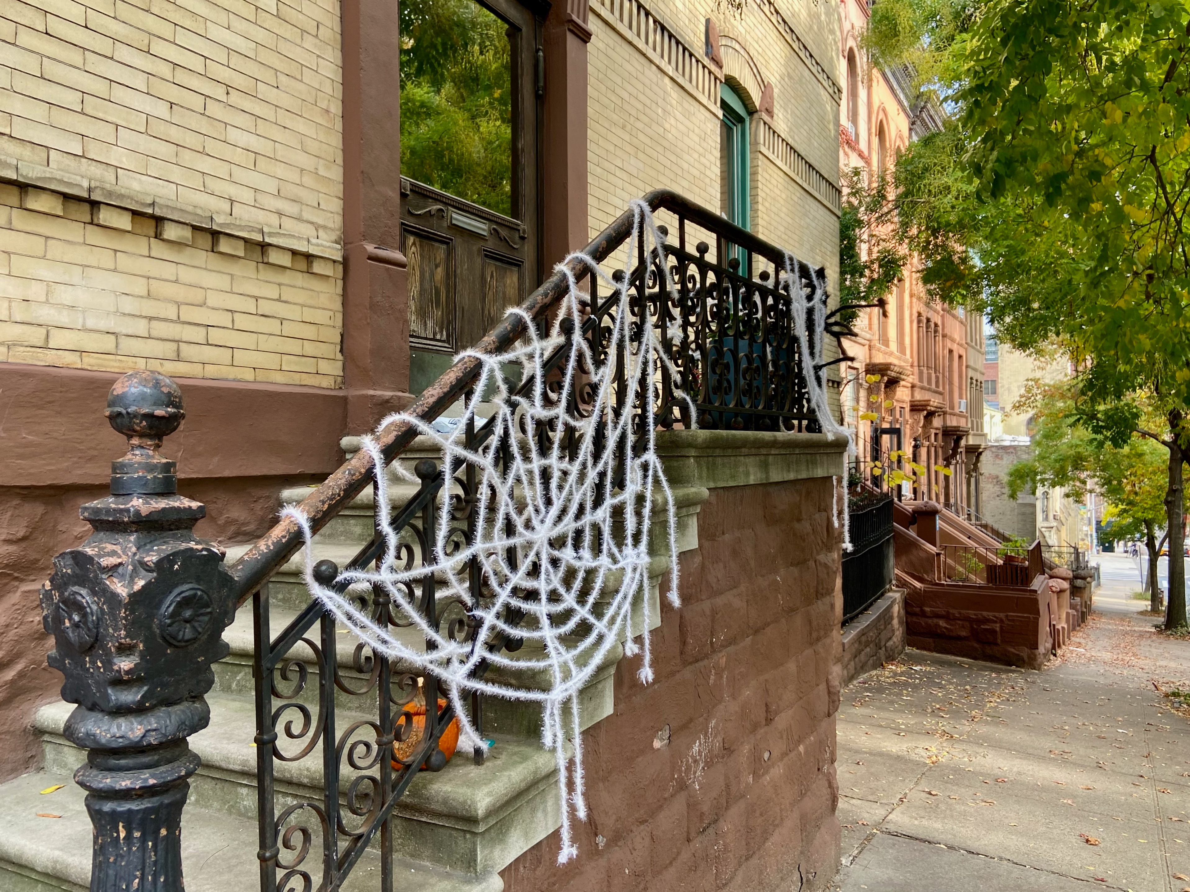 halloween shirley ny